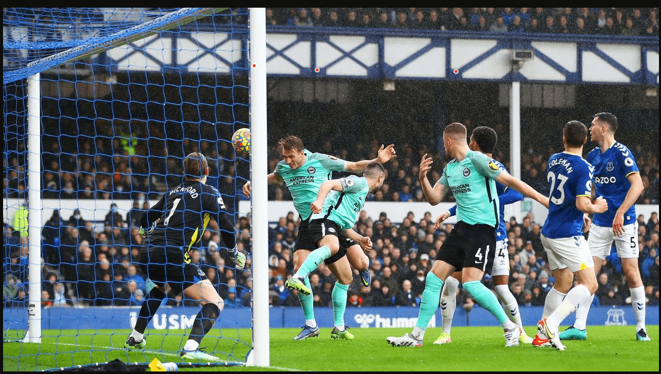 Seagulls pick apart the struggling Toffees