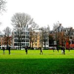 Top 10 Universities With Strong Football Scholarship Programs in 2026