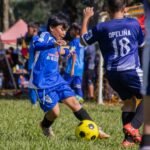 Top 10 Best Academic Programs for Student-Athletes Studying Abroad in 2026