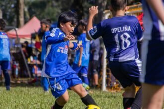 Top 10 Best Academic Programs for Student-Athletes Studying Abroad in 2026